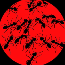 Исполнитель: рома майк