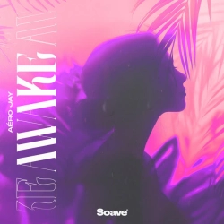 Aéro Jay - Awake