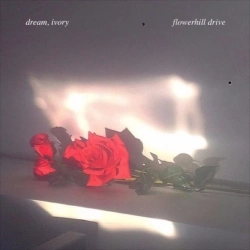 Dream & Ivory - welcome and goodbye