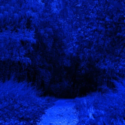 Ecveezer - Sad Emotional Violin Music