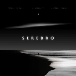 Francesco Ricci & Shakhbanov & Matteo Scalvini - Serebro