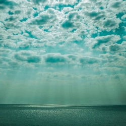 Хонест - Референс