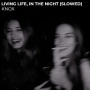 KNOX - Living Life, in the Night (Slowed)