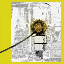 Lys - Гори
