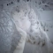 Najana - Winter´s Spell