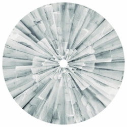 Nikita Zabelin - Confusion