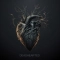 NOAPOLOGY - Deadhearted