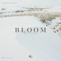 Piece Wise & Abroad - Bloom