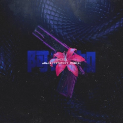 t-Zhuk - Amaga - Syvorovv Remix