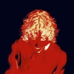 The Curly - la puta