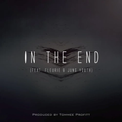 Tommee Profitt & Fleurie & Jung Youth - In The End