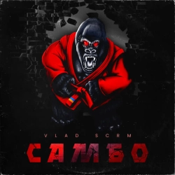 VLAD SCRM - Самбо