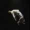 VOLODIN - DON’T CRY 28